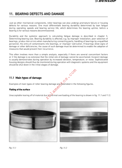 catálogo de defeitos e danos em rolamentos DUNLOP 2016 - inglês - Image 2